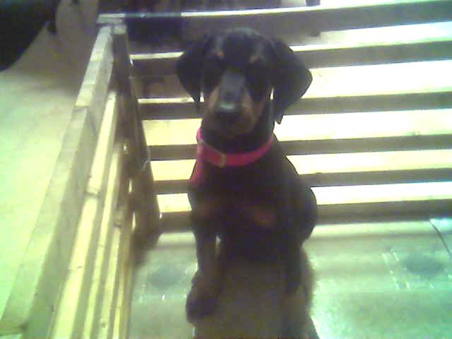 image0001.jpg