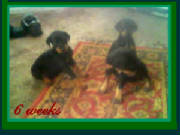 image0066_jpg_w180h135.jpg