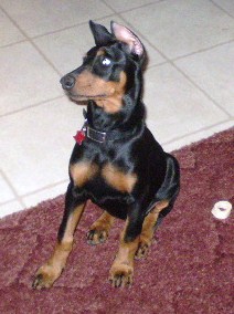 raven14wk.jpg