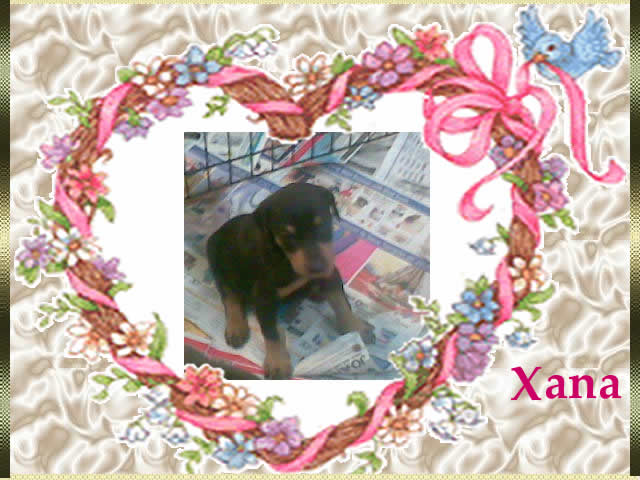 xana003.jpg
